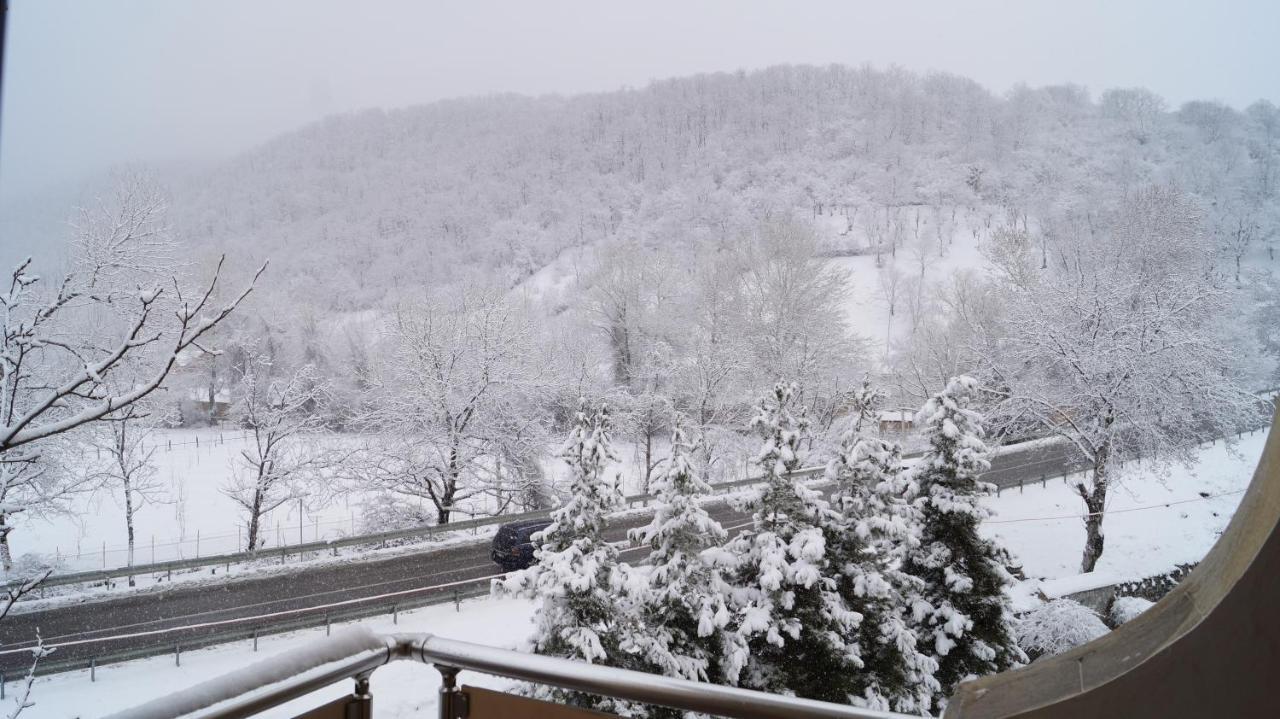 Gabala Yeddi Gozel Hotel 外观 照片