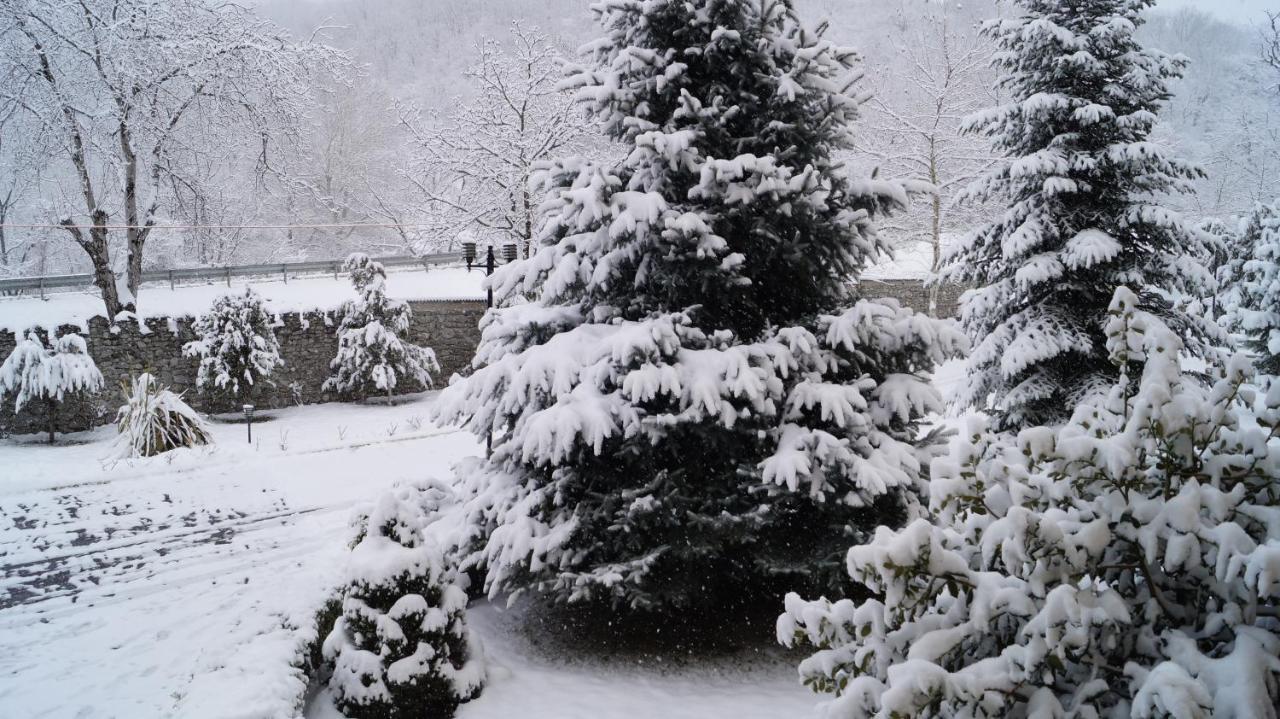 Gabala Yeddi Gozel Hotel 外观 照片